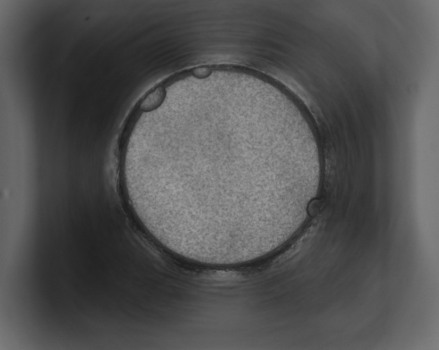 X0000100471119200807111035