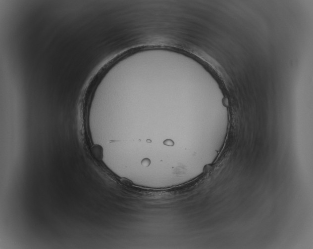 X0000100471120200807111035