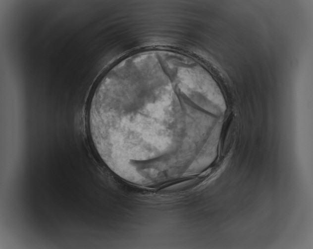 X0000100471121200807111035