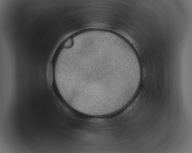 X0000100471123200807111035