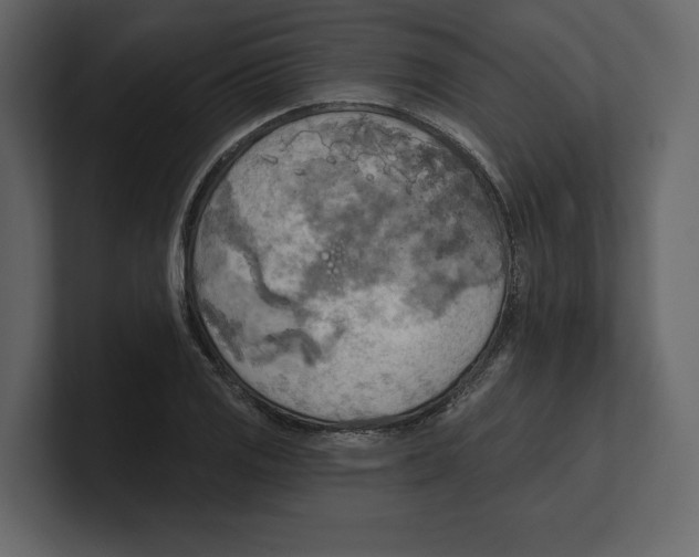 X0000100471125200807111035