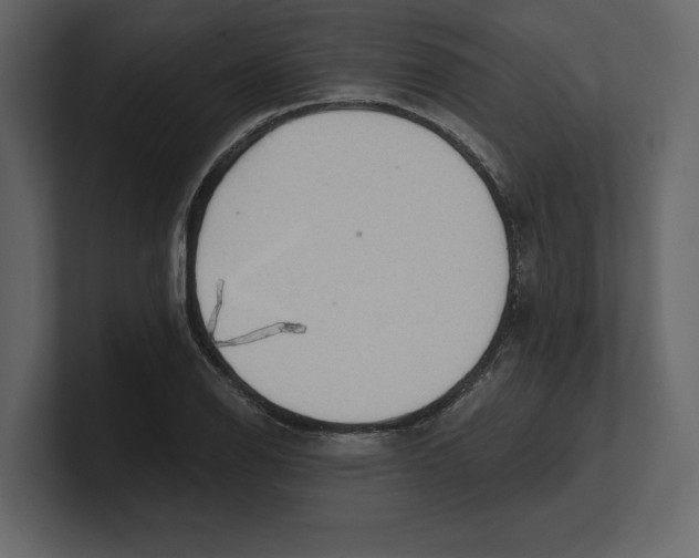 X0000100471126200807111035