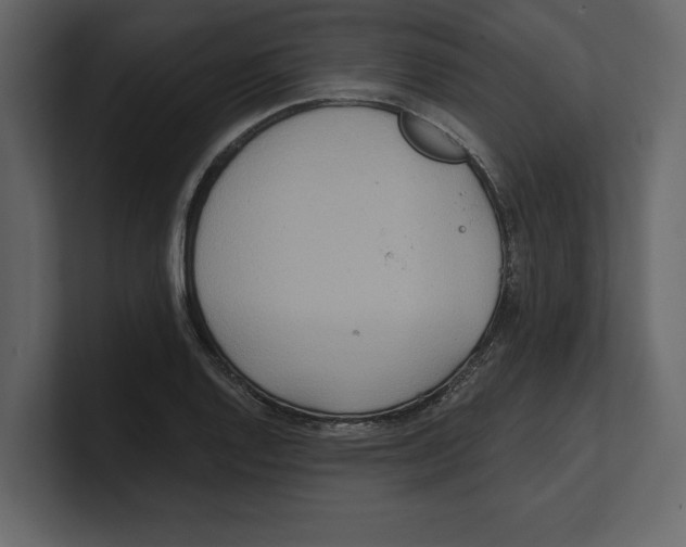 X0000100471128200807111035