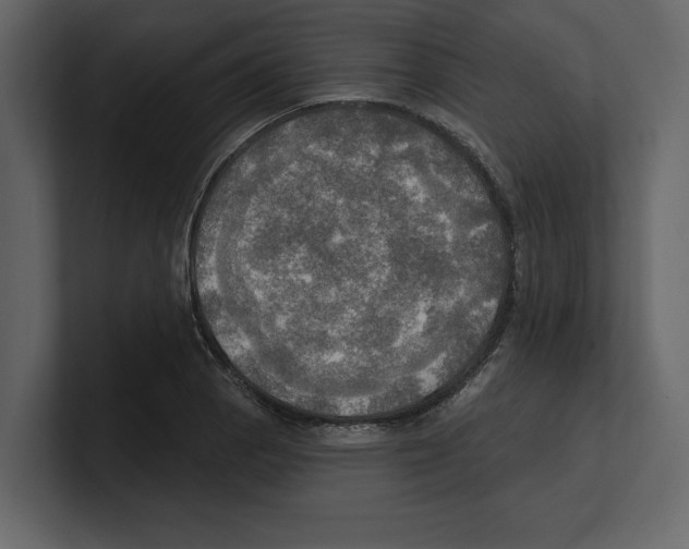 X0000100471129200807111035