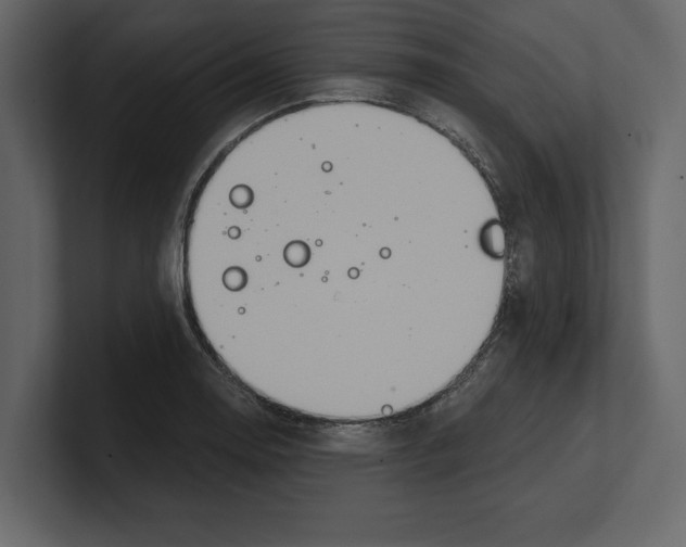 X0000100471130200807111035