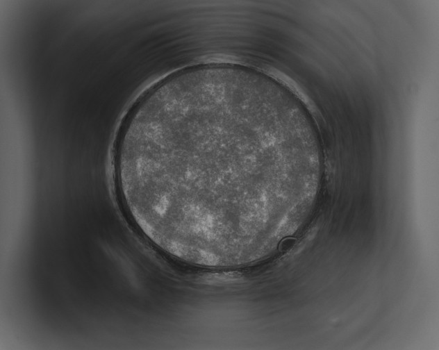 X0000100471133200807111035