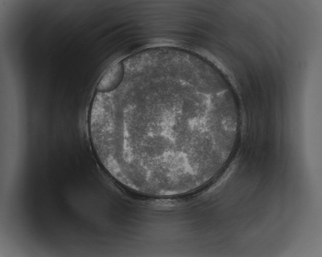 X0000100471137200807111035