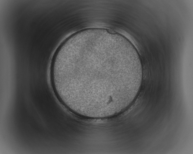 X0000100471139200807111036