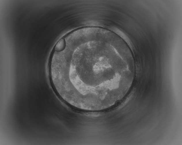 X0000100471141200807111036