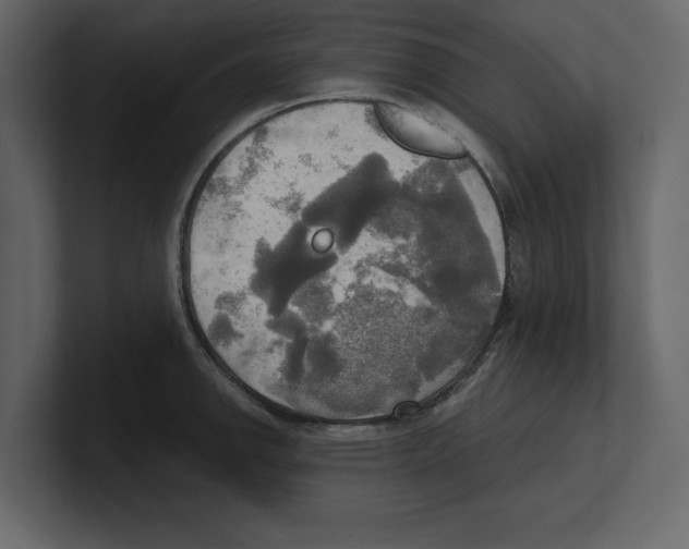 X0000100471142200807111036