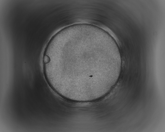 X0000100471143200807111036