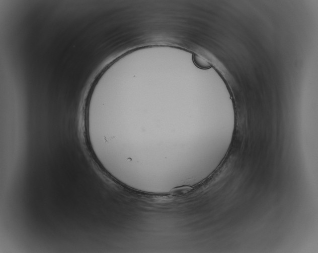 X0000100471144200807111036