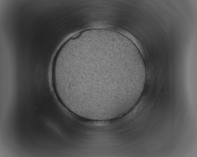 X0000100471147200807111036