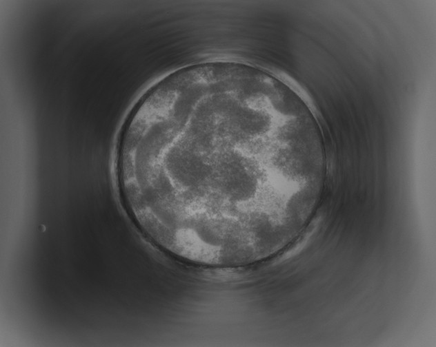 X0000100471149200807111036