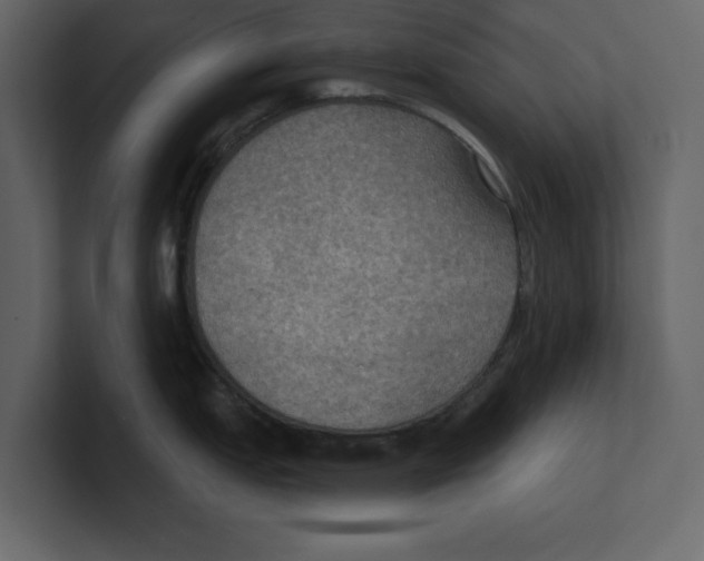 X0000100471151200807111036