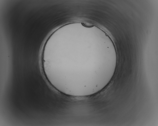 X0000100471152200807111036