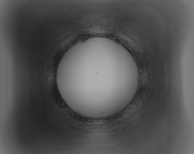 X0000100471157200807111035