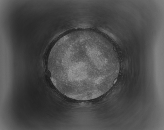 X0000100471160200807111035