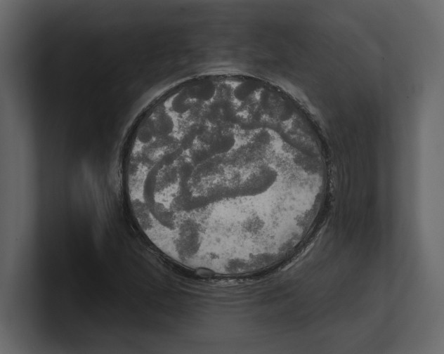 X0000100471167200807111035