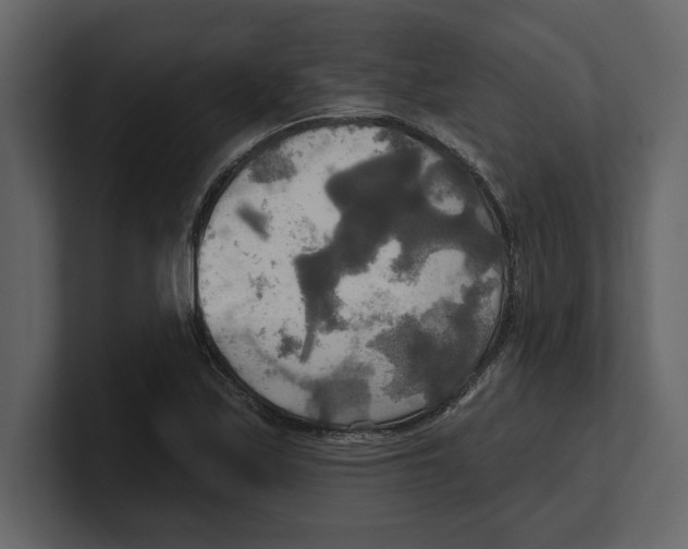 X0000100471171200807111035