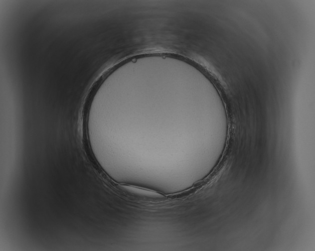 X0000100471173200807111035