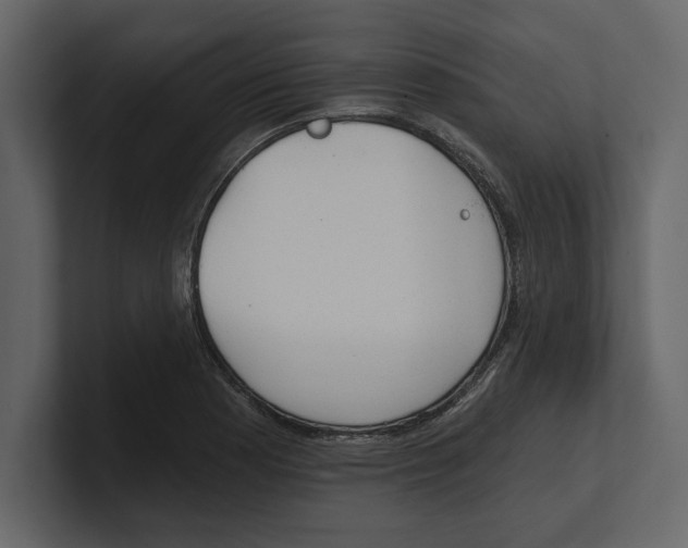 X0000100471177200807111035