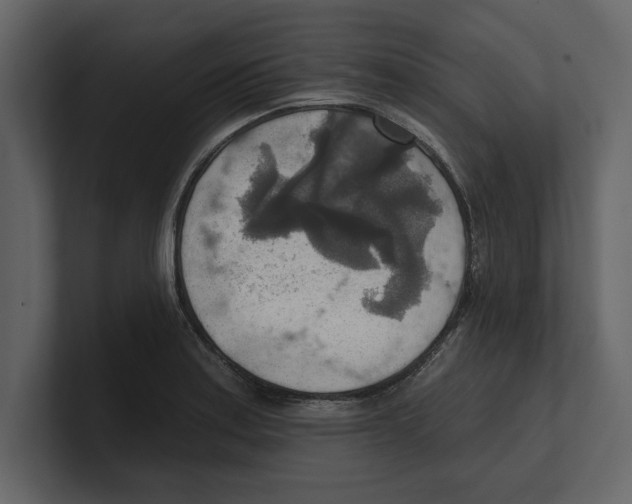 X0000100471179200807111035