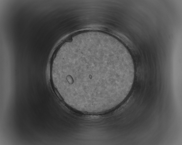 X0000100471180200807111035