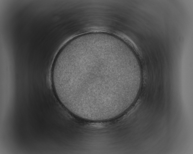 X0000100471182200807111035