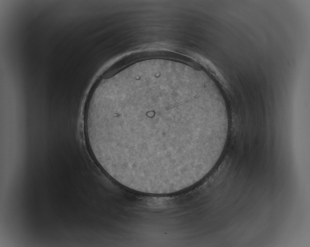 X0000100471184200807111035