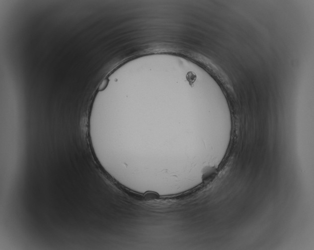 X0000100471185200807111035