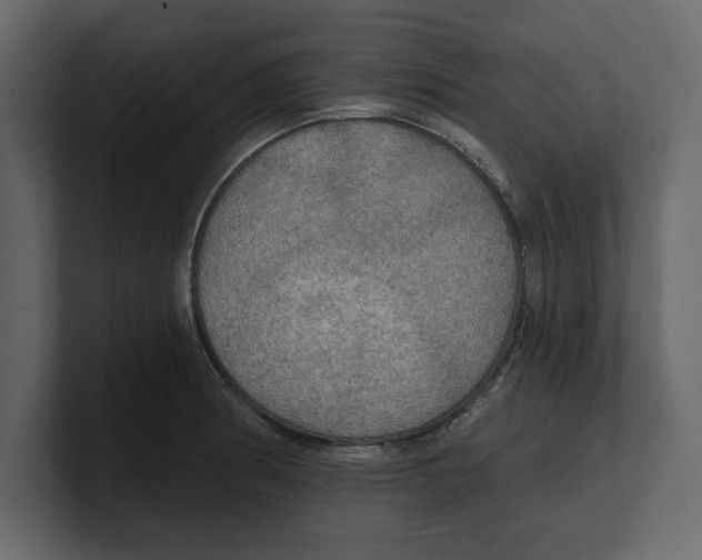 X0000100471186200807111035