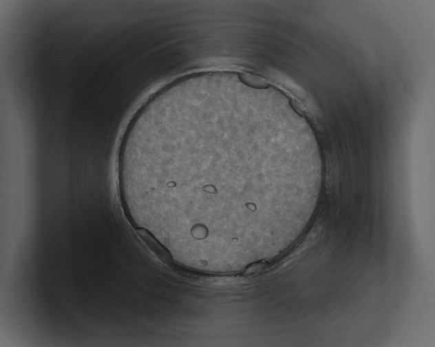 X0000100471188200807111035