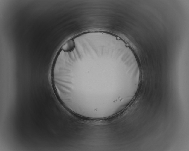 X0000100471189200807111035