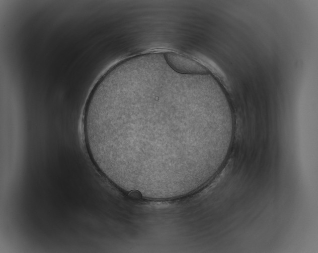 X0000100471190200807111035