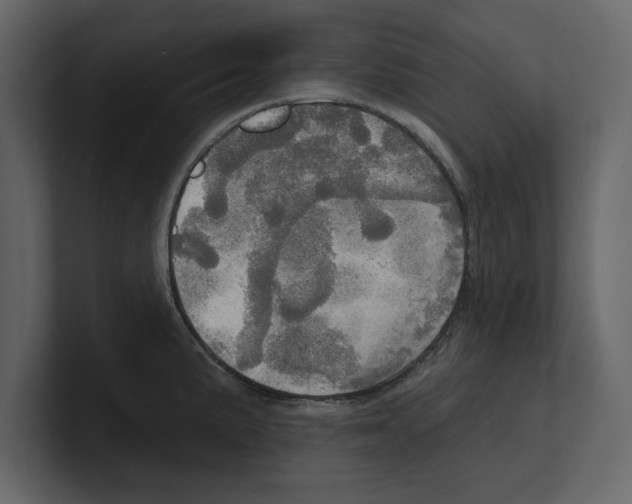 X0000100471191200807111035