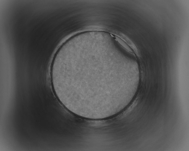 X0000100471192200807111035