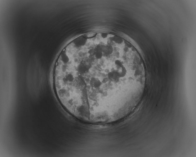 X0000100471195200807111034