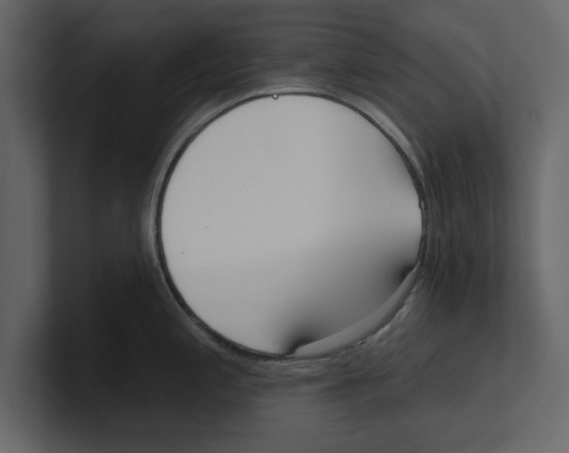 X0000100471197200807111034