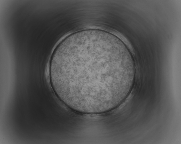 X0000100471198200807111034