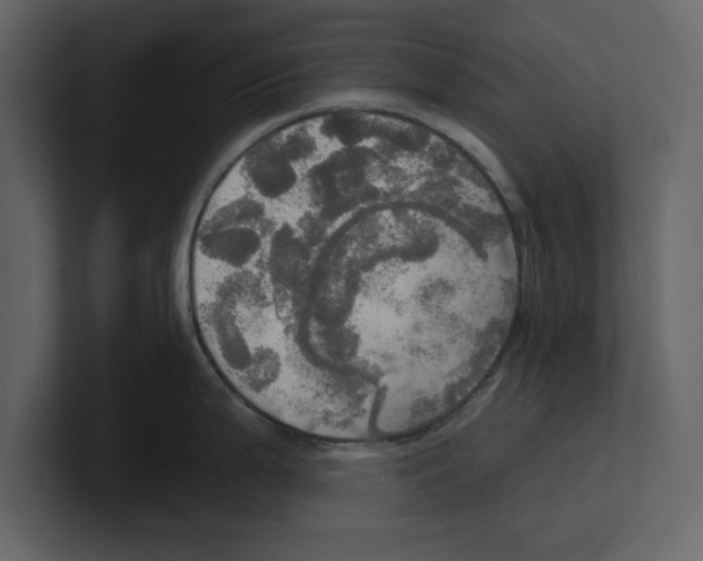 X0000100471199200807111034