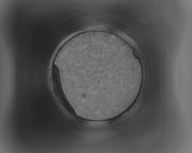 X0000100471200200807111034