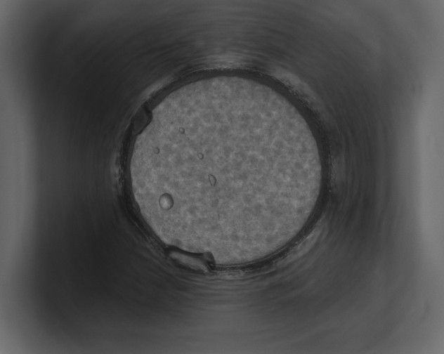 X0000100471210200807111034