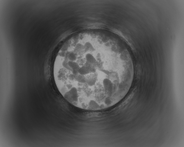 X0000100471211200807111034