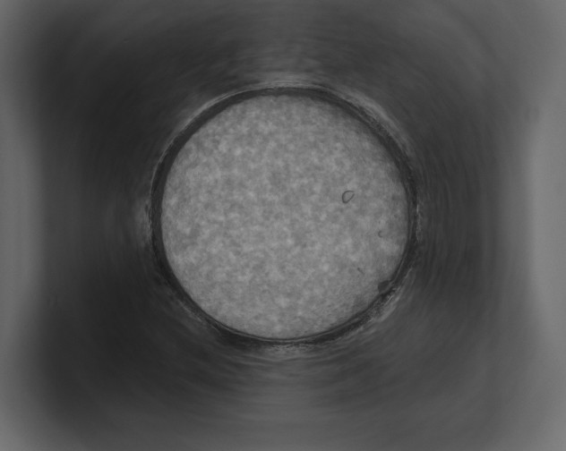 X0000100471212200807111034