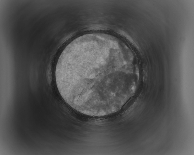 X0000100471213200807111034