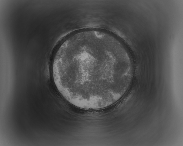 X0000100471214200807111034