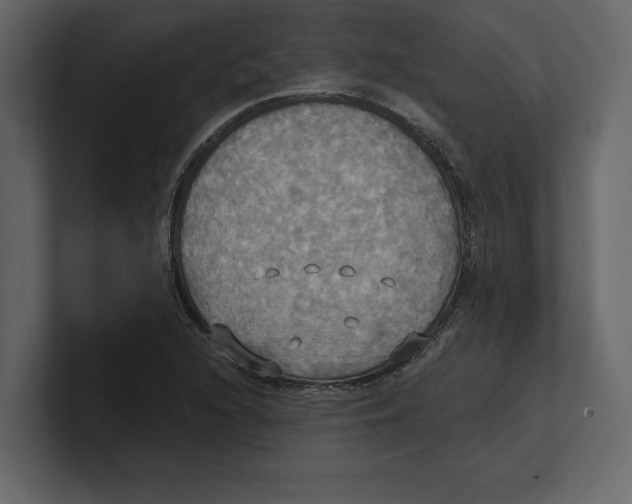 X0000100471216200807111034