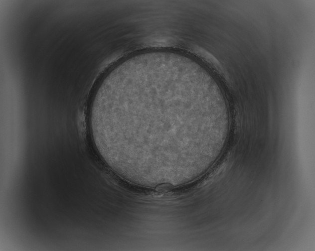 X0000100471218200807111034