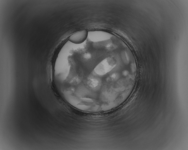 X0000100471219200807111034